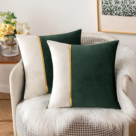 Pack of 2 Velvet Decorative Square Cushion - Green and White