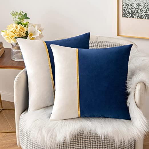 Pack of 2 Velvet Decorative Square Cushion - Blue and White